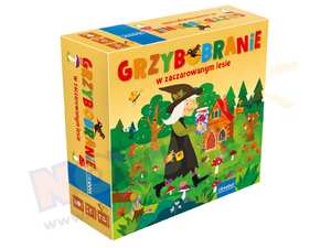 Grzybobranie w zaczarowanym lesie