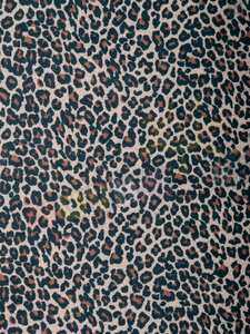 Filc w rolce, gepard