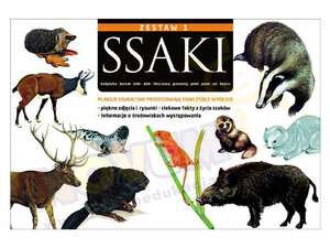 Plansze edukacyjne - Ssaki I