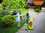 /environment/cache/images/300_300_productGfx_0ad53ff9c7e42726078ad8a42fc848e0.jpg