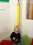 /environment/cache/images/300_300_productGfx_4089992b0ae2faed2c81965ec1fce29f.jpg