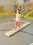 /environment/cache/images/300_300_productGfx_4630ca1bb52e8bba21c96b1506b2bc9c.jpg