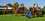 /environment/cache/images/300_300_productGfx_48716e83cb7e196e295a4419b83f51bb.jpg