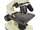 /environment/cache/images/300_300_productGfx_59385a6be8ea8f7af2b4d12b8edb936e.jpg