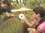 /environment/cache/images/300_300_productGfx_98a014af97387cb8c5fc671358891dc2.jpg