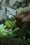 /environment/cache/images/300_300_productGfx_a10d9c8fc788665a89cd6e4076fd7eb2.jpg