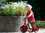 /environment/cache/images/300_300_productGfx_cff99eeeaa78df608ede70a59566df14.jpg