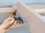 /environment/cache/images/300_300_productGfx_d5b165f344ed24c9d1d6ced7fd77ec19.jpg