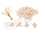 /environment/cache/images/300_300_productGfx_dfecc461053361d61a3784703146cbe6.jpg